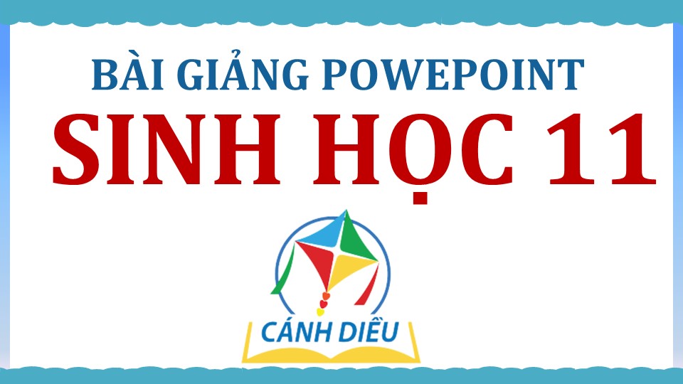 POWERPOINT SGK SINH HỌC 11 CẢ NĂM – CD
